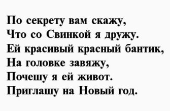 Новогодние стихи для детей на год Свиньи 2019