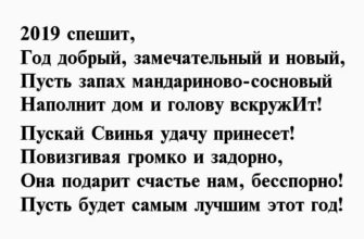 Поздравления в стихах с Новым годом Свиньи 2019