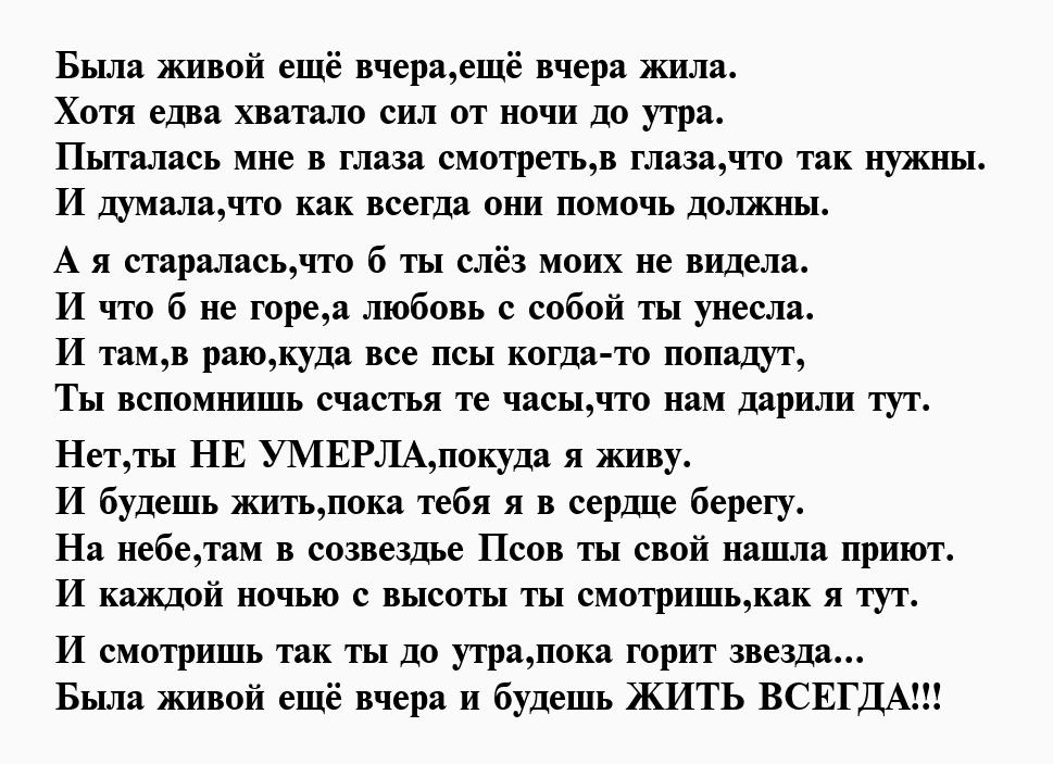 Умирает друг как поддержать. Стих в память о собаке любимой. Стихи о собаке ушедшей. Стихи на смерть собаки. Стих погибшей собаке.